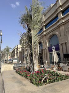 الصورة 1