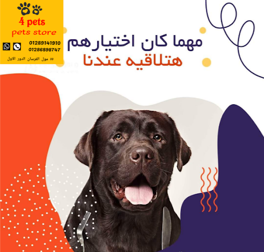 4pets In Furssan City