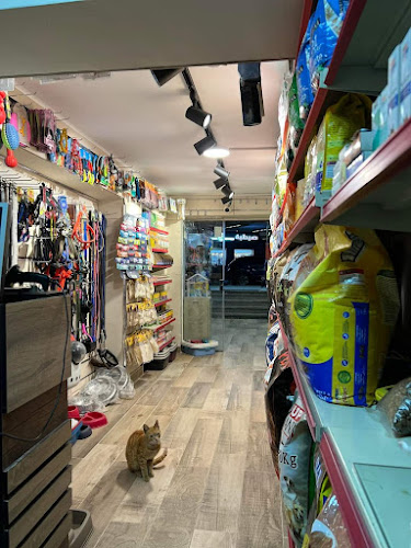 KAYA PETS SHOP
