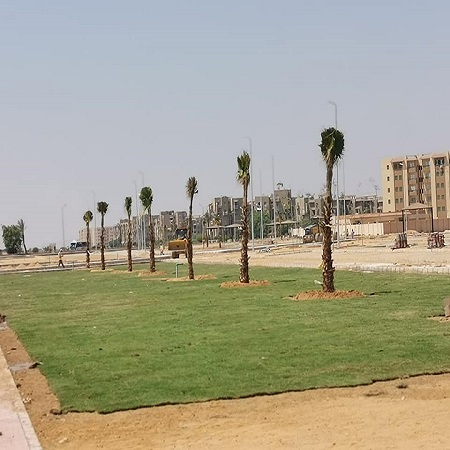 El fayrouz landscape