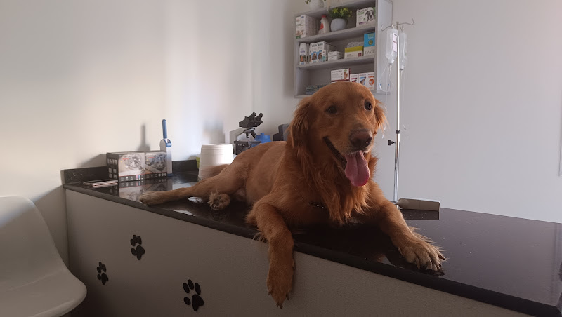 AF1QipNkwkqLO46ZJ_S1Rg2-gKmL3GOXLxB1lxcdy_ZSw800-h500-k-no-1.jpg