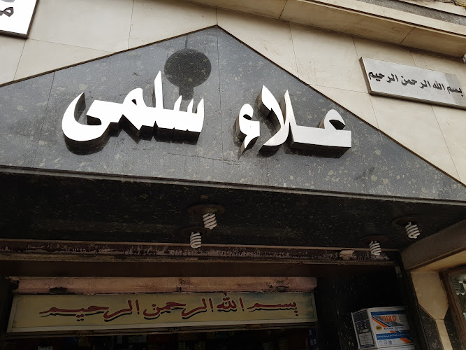 علاء سلمى