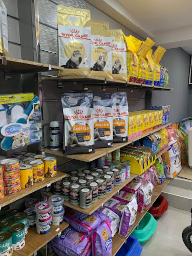 Meow pet shop