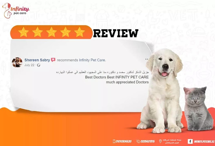 Infinity Pet Care