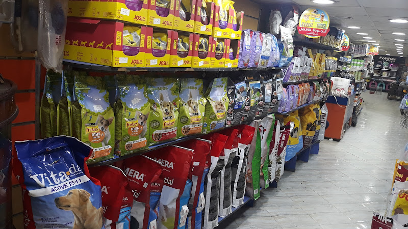 Safety Care Pets