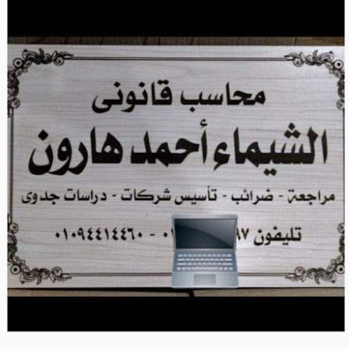 Shaimaa Haroun Certified Public Accountant Office