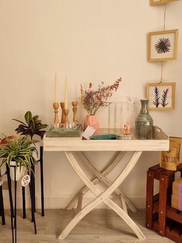 The Nest Concept Store