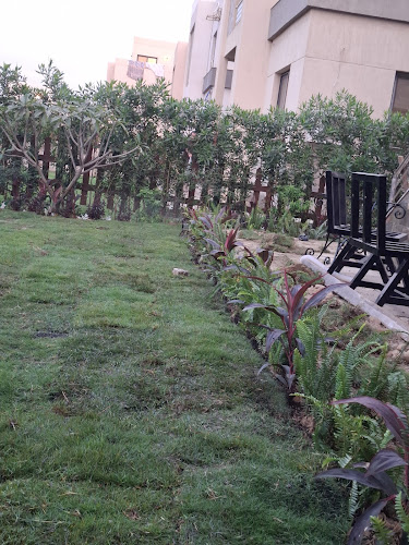 جرين بيرد للمقاولات واللاندسكيب ونظم الري