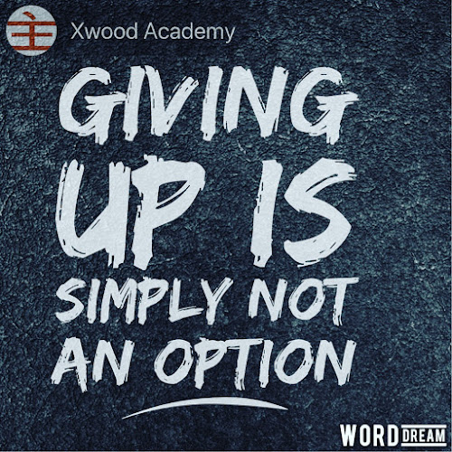 Xwood – مصر