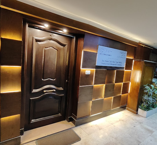 Nagy El Shahawy Financial & Tax Consultancy