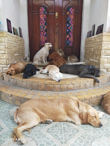 United Barkdom