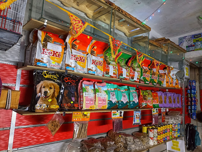 Pets Store 2