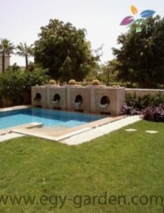 الصورة 1