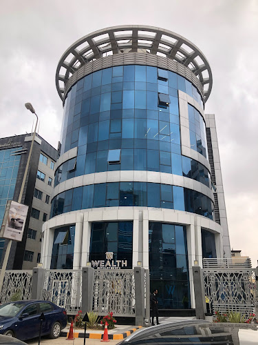تطوير الثروة