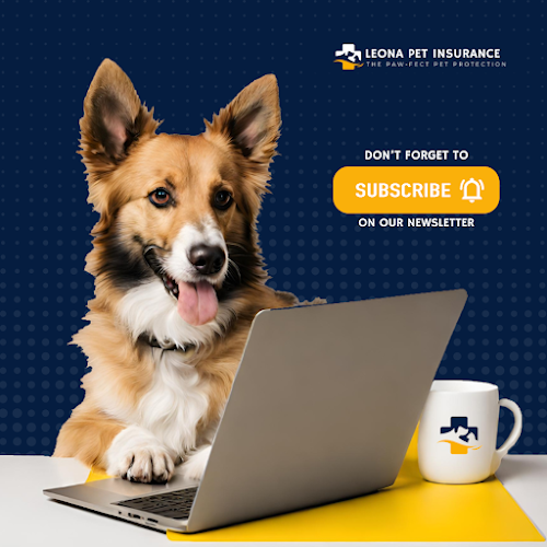 Leona pet insurance