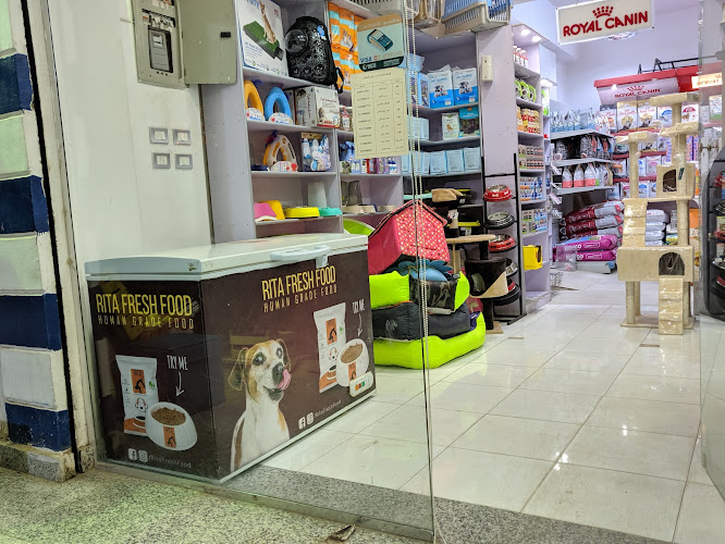 Mr, Pets Egy