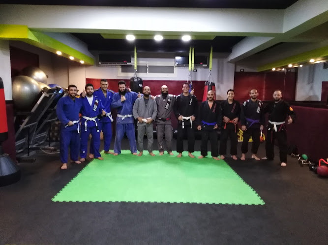 Fighter Gym