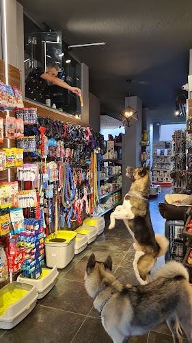The Cage Pet Store-Dokki Branch