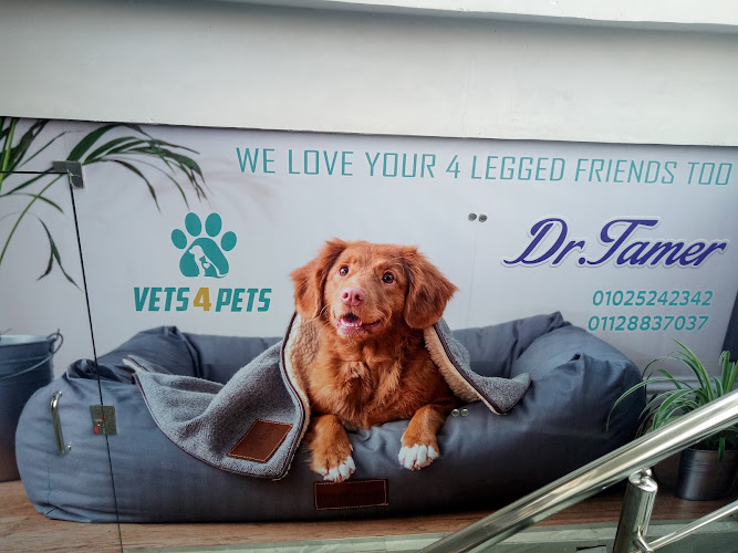 vets 4 pets clinic