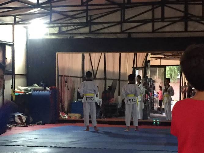 International Taekwondo Center