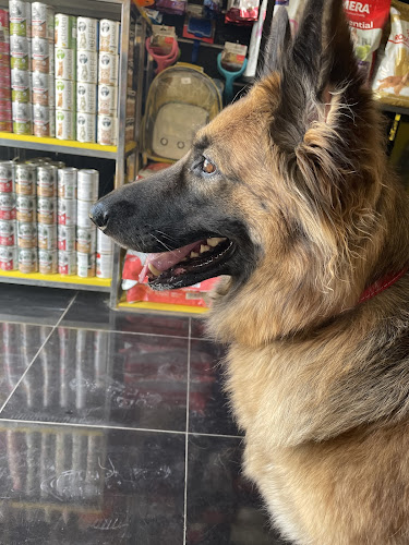 Dr.pet Madinaty