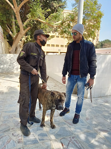 Police dog k9 center