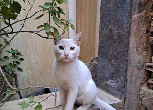 AG0ilSwZ8QiW9bQzGYiZt_kYjV9ec5ReD_t22DSJb1DadRjSFk5ns3AraKamUO2aHKhVZ3ryhpVu3dcY1kefGQ1mDJSg5nvbbO8iFRFaf5g0oyOzBFXi4xzDUgKBCVnV6qL0YidEC-ww800-h500-k-no.jpg