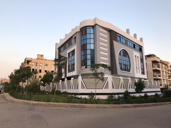 مستشارون محترفون من شركة دايموند