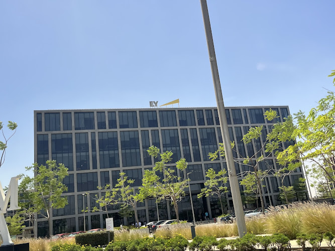 EY Cairo CFC Office
