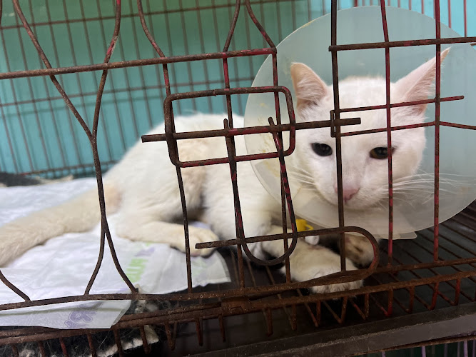 PetLogic Veterinary Clinic