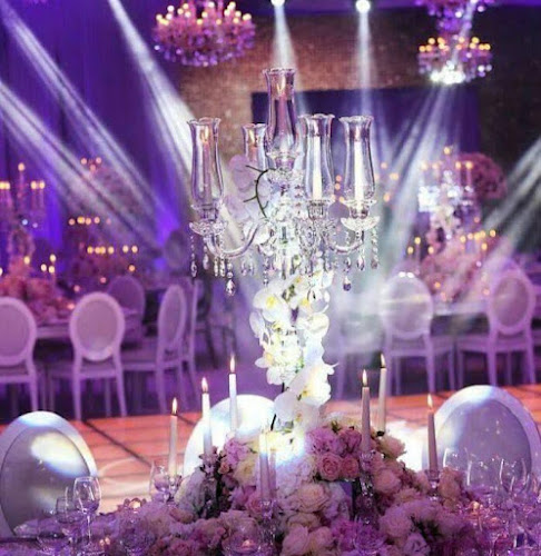 Akef Agency For Artists Wedding Planner And Events Organizer Mostafa Akef
