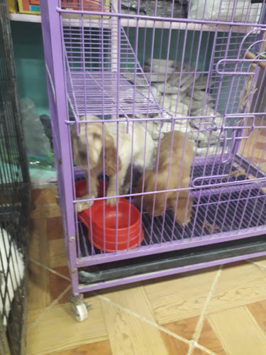 Pets&pets store