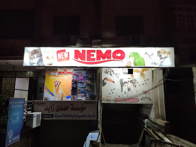 حيوانات نيمو الأليفة