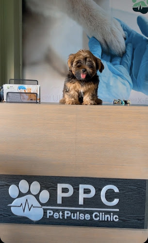 Pet Pulse Clinic