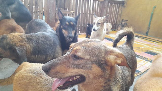 AG0ilSyZ1s1izbRZywvWcIOfv2iXMxoz7_KdHjMhnRoh0cI1H9gNiAqvsCyD_izJ5YHvIFmYOIC57znhHJUcL3Qrfb-Br6qcHDopA8flc27kJ7_5AZDDwrGA5y78EaEik6K_cENvIi80Cww800-h500-k-no.jpg