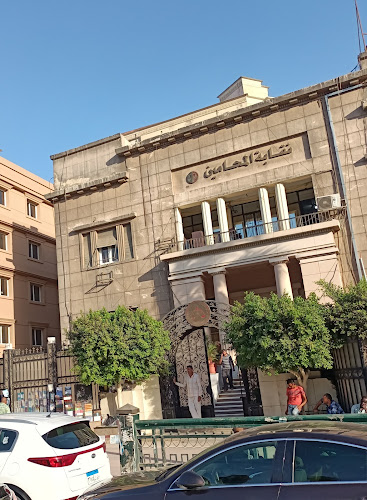 The Egyptian Lawyers Association