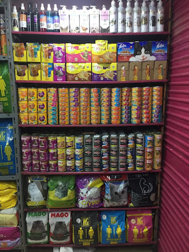 Pets World Care