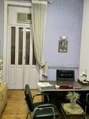 Office of Counselor Zaki Abdel Rabbo, Attorney at Law