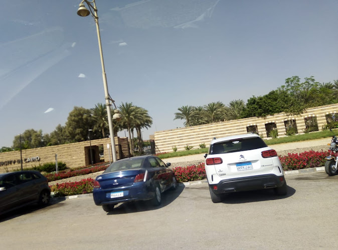 Gate 5 – AUC