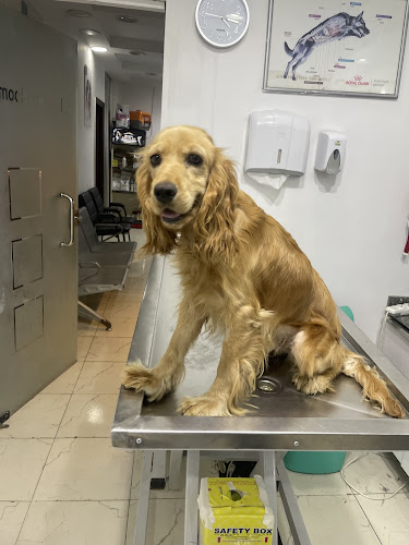 Petary Clinic