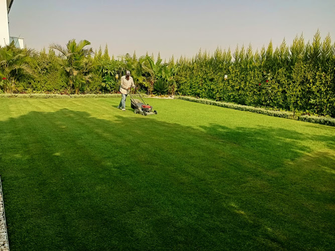 Amazon Landscaping Company