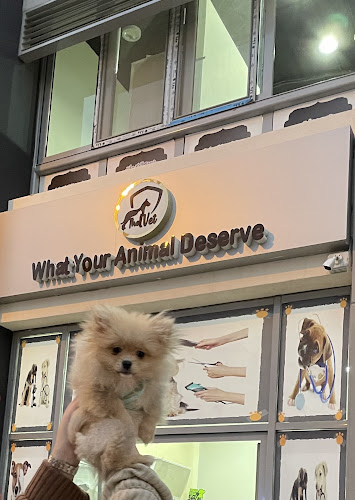 The Vet