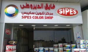 الصورة 1