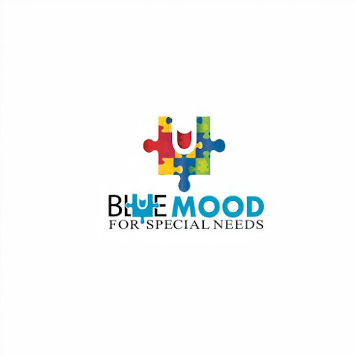 BLUE MOOD لذوي الاحتياجات الخاصة