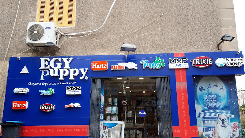 EGY Puppy – Sheraton