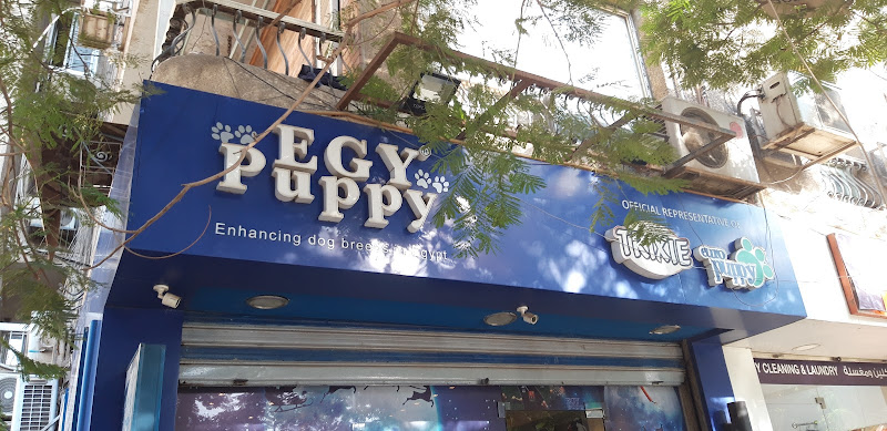 EGY Puppy – Maadi