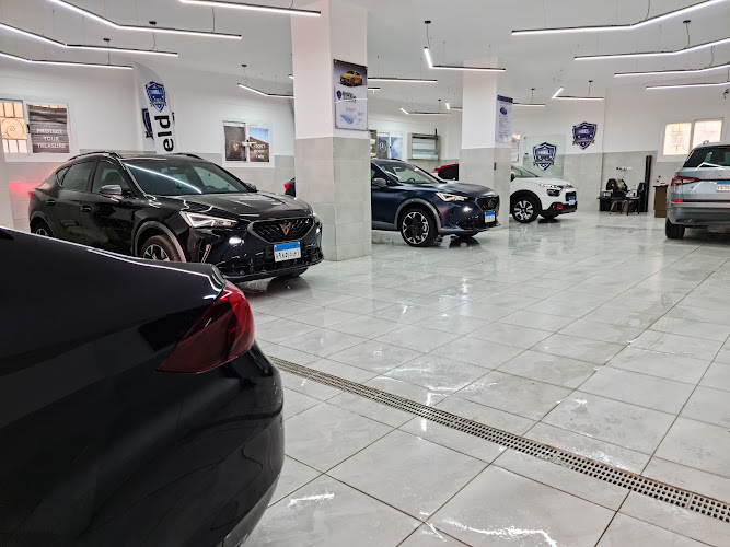 Shield For Paint Protection Films