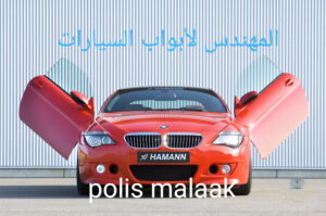 الصورة 1