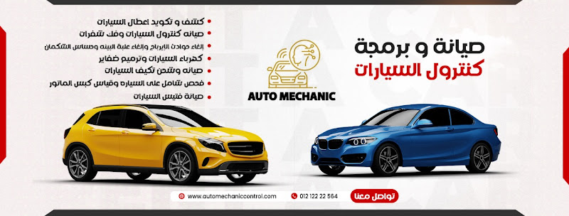 Auto Mechanic for repairing and programming car control units and detecting faults