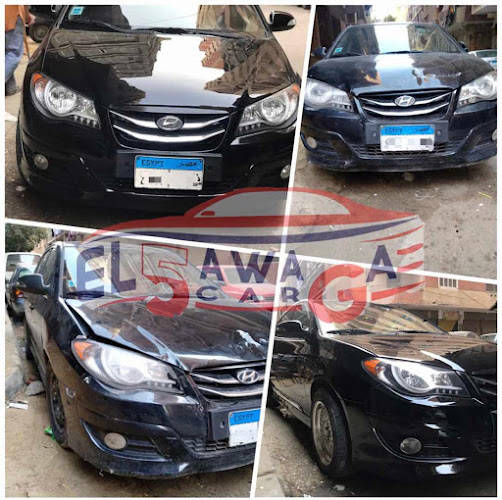 El5waga car